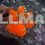 Лапка Сквиш Таба  лапка прозрачная BIG 12 см